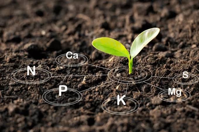 Soil Health