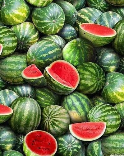 WATERMELON FARMING AND ITS BENEFITS