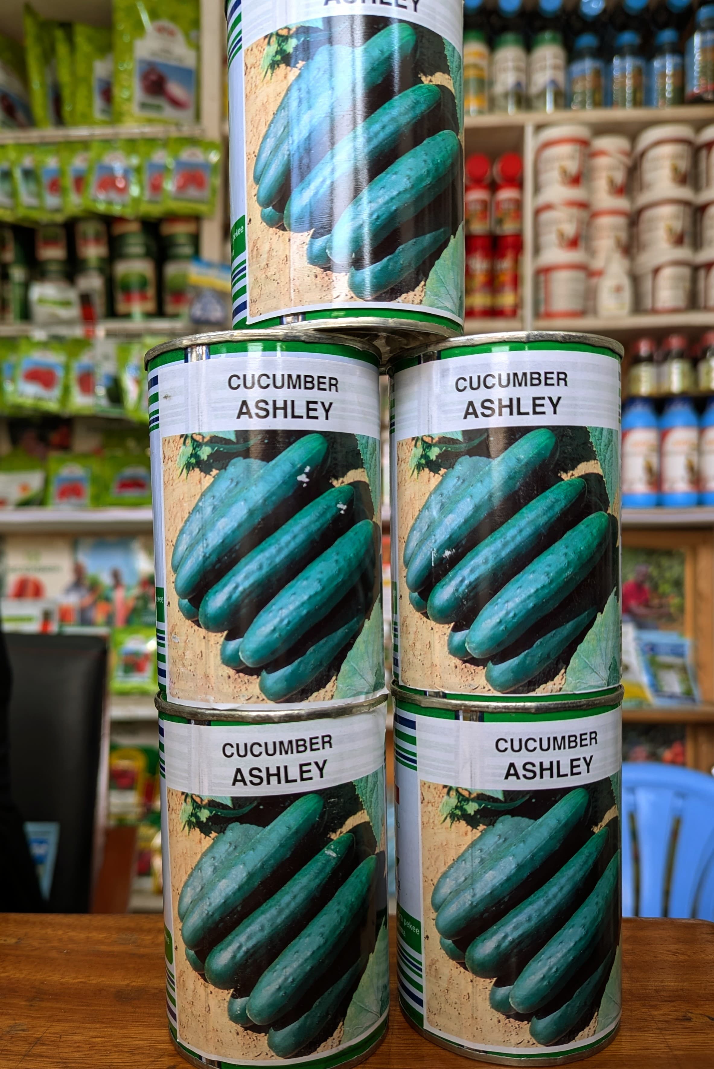 ASHLEY -  100gm