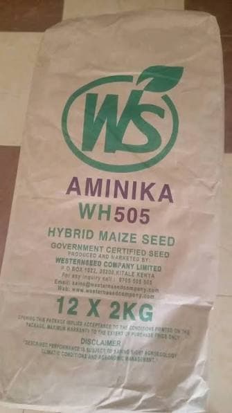 AMINIKA(WH 505)- 2Kg