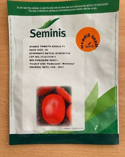 ASSILA F1- 2,500seeds