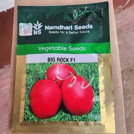 BIG ROCK F1- 500seeds