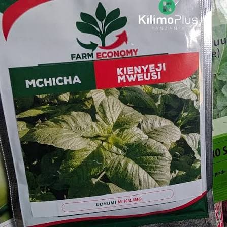 MCHICHA KIENYEJI MWEUSI(FEC) - 25gm