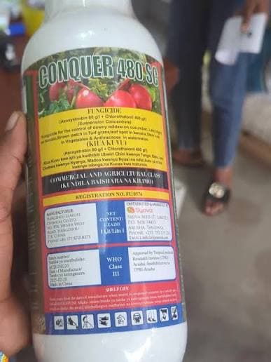 CONQUER- 500mls