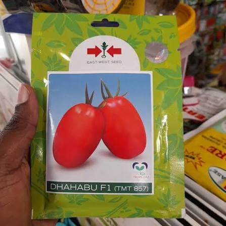DHAHABU F1 - 1gm
