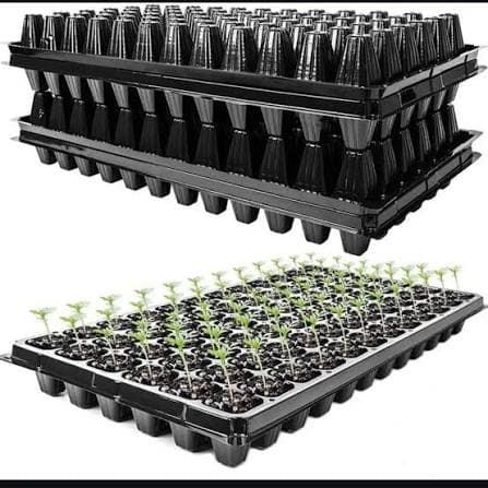 TRAY- 200Holes