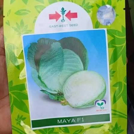 MAYA F1- 50gm