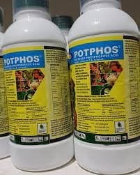 POTPHOS -100mls