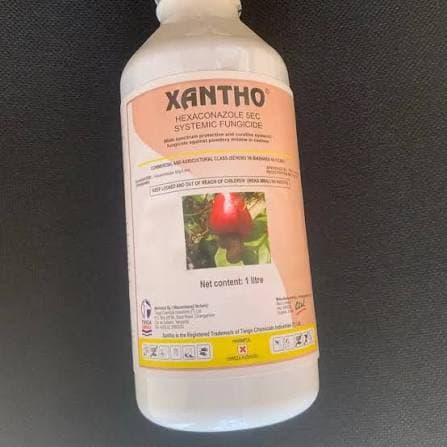 XANTHO- 500mls