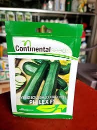 ZUCCHINI/PHILEX F1 - 25gm