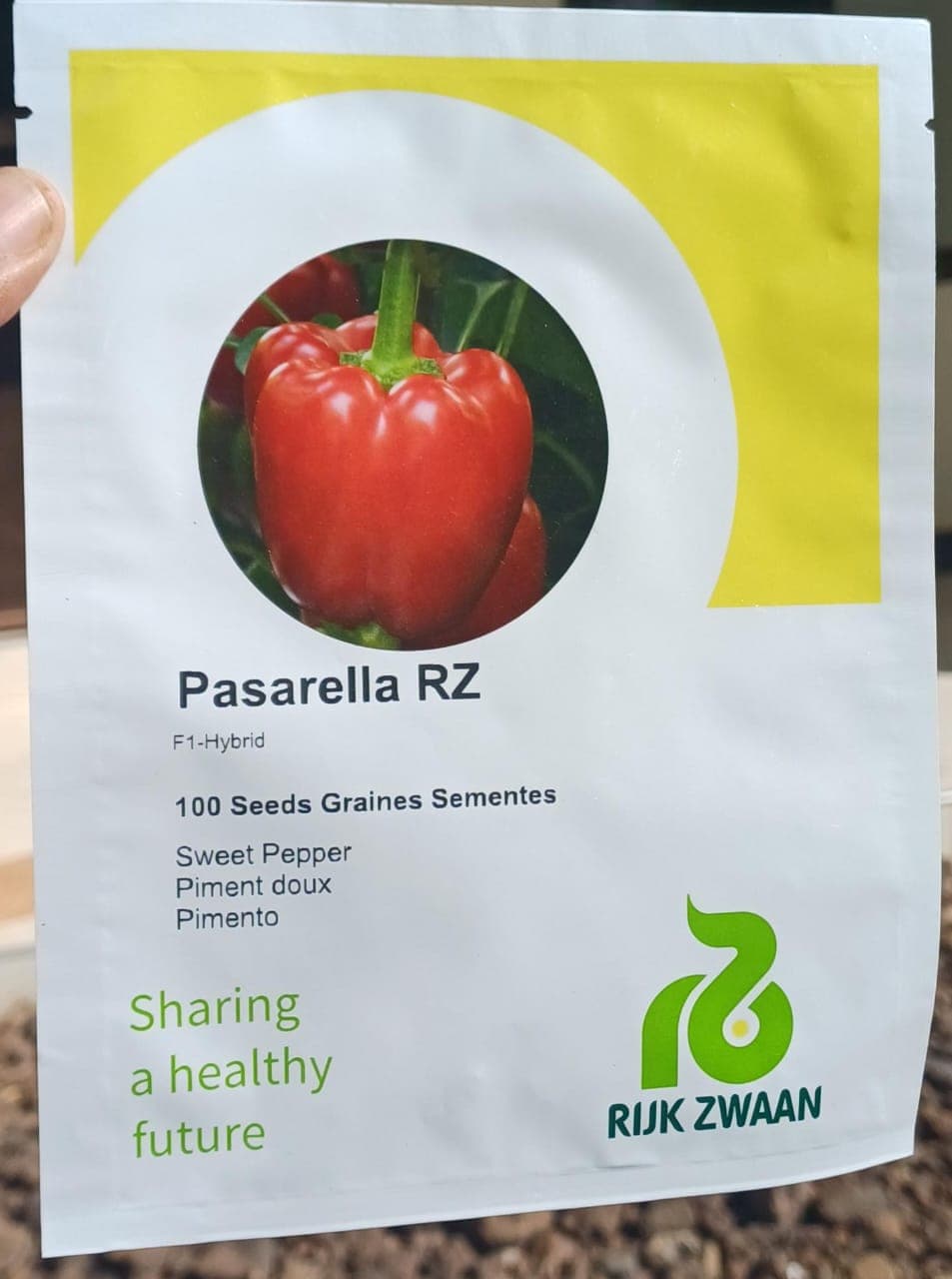 PASARELLA R2- 100seeds