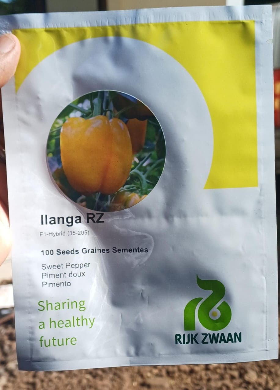 ILANGA RZ- 100seeds