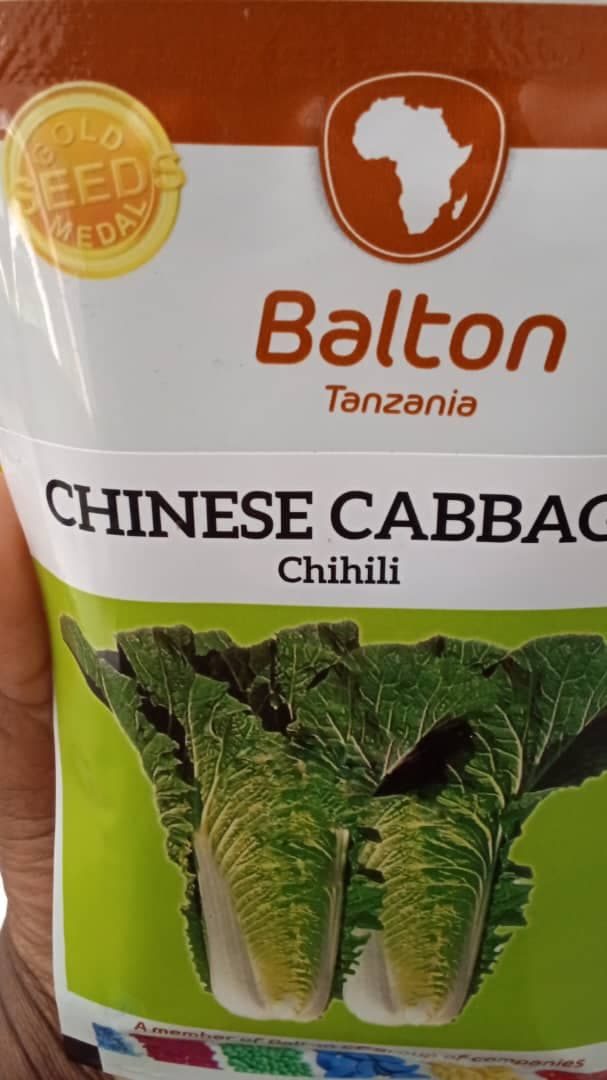 CHINESE CABBAGE/Chihili(BALTON)- 25gm