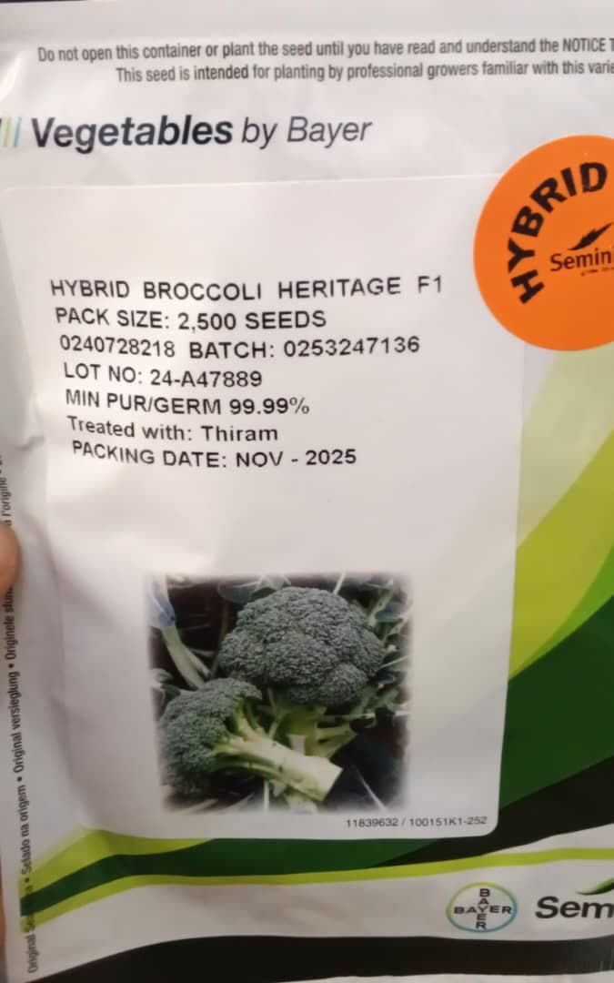 BROCCOLI HERITAGE F1-  2,500seeds