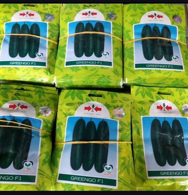 GREENGO F1  - 50gm