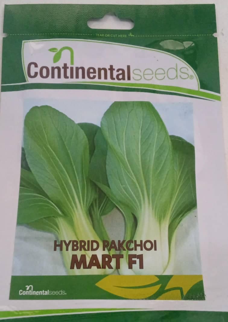 MART F1/PAKCHOI- 100seeds