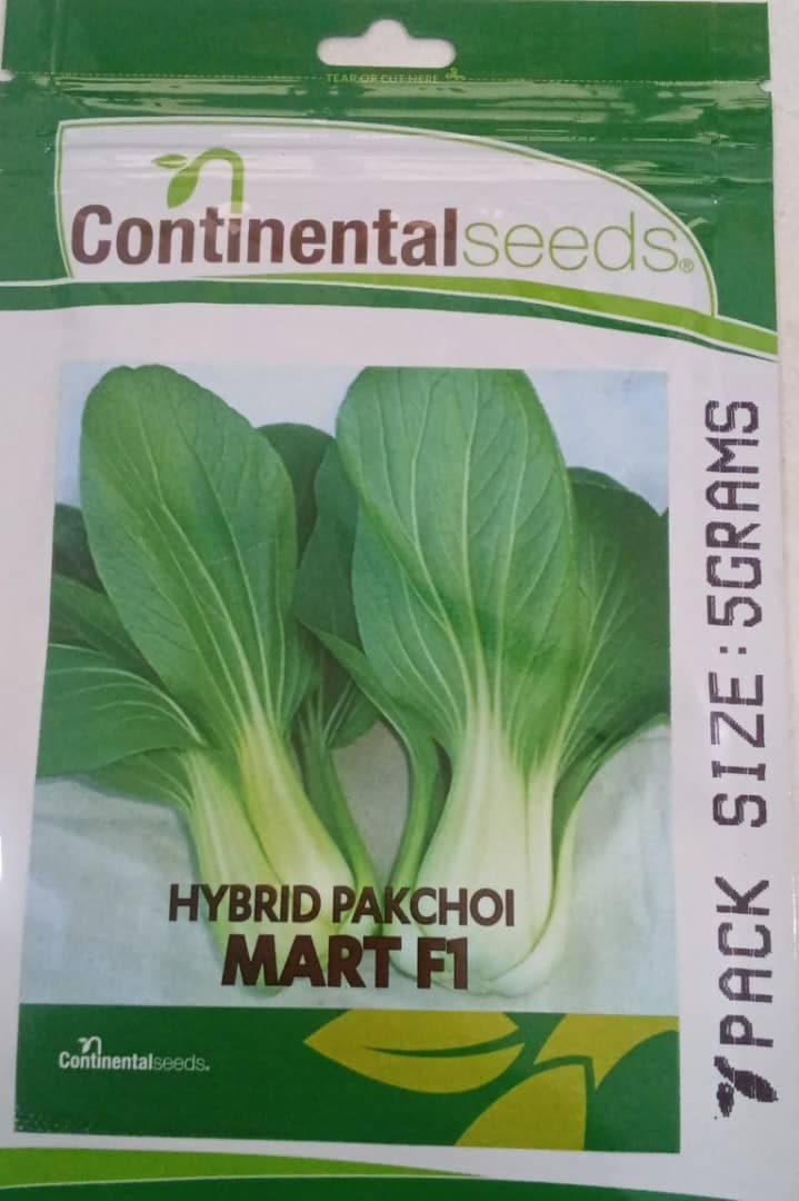 MART F1/PAKCHOI- 5gm