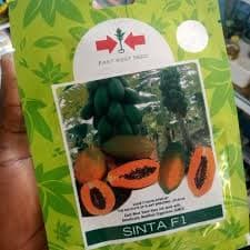 SINTA F1 -  50seeds