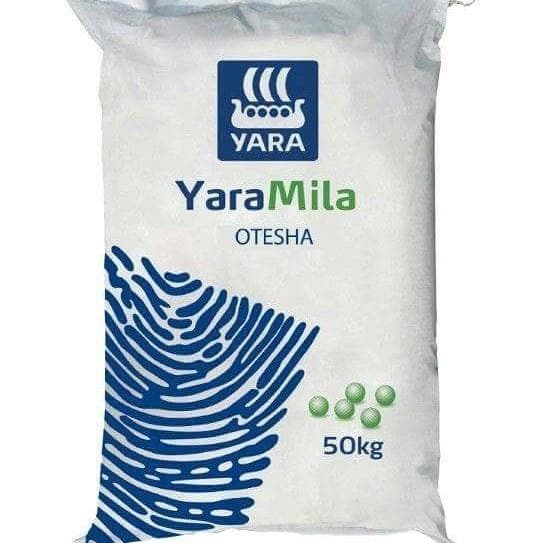 OTESHA(Yara Mila)- 50kg