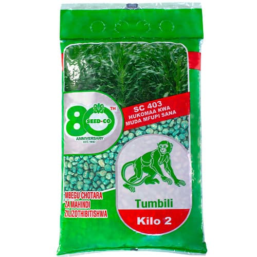 TUMBILI SC(403)- 2Kg