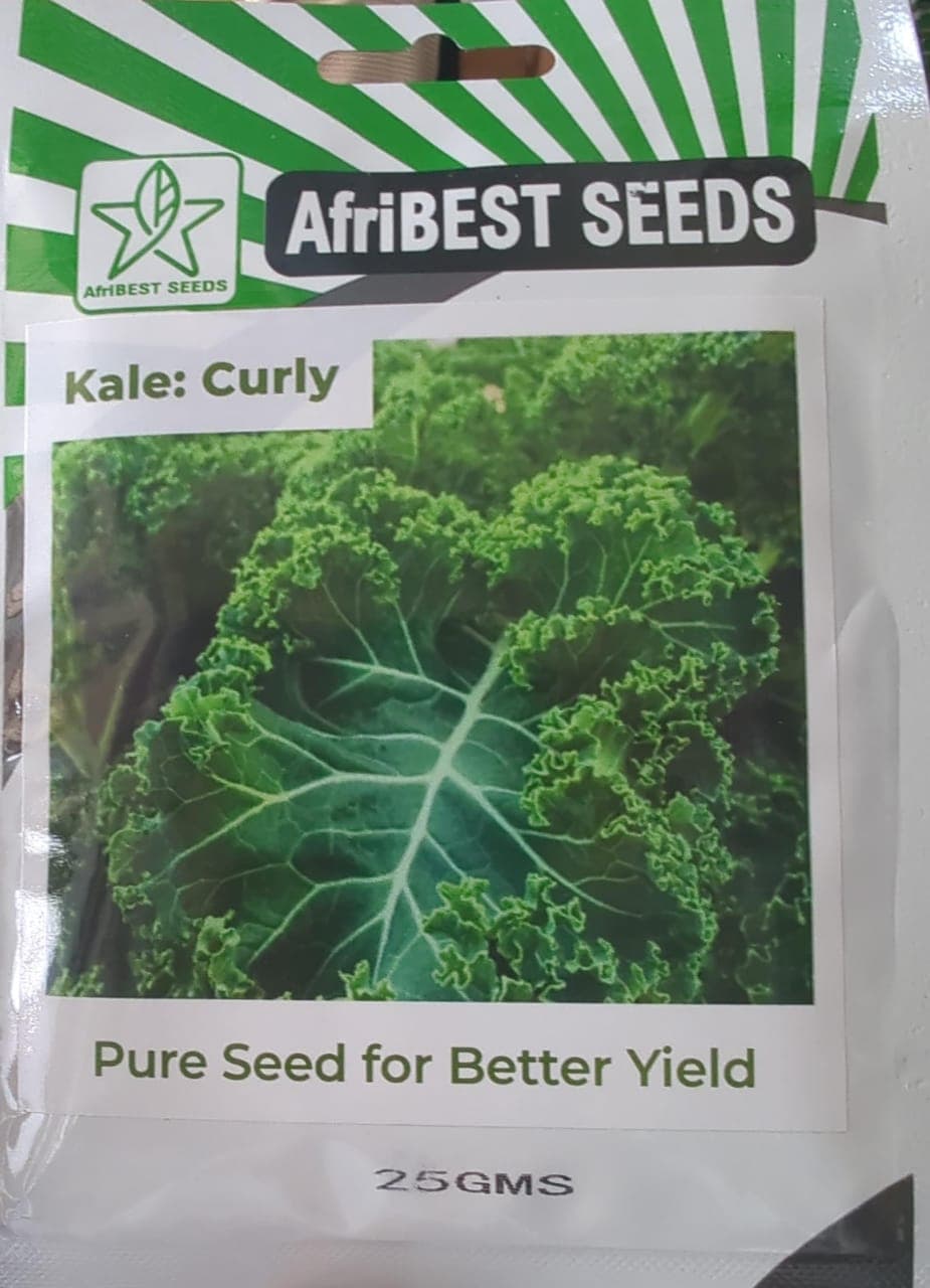 CURLY/KALE(AfriBEST SEEDS)- 25gm