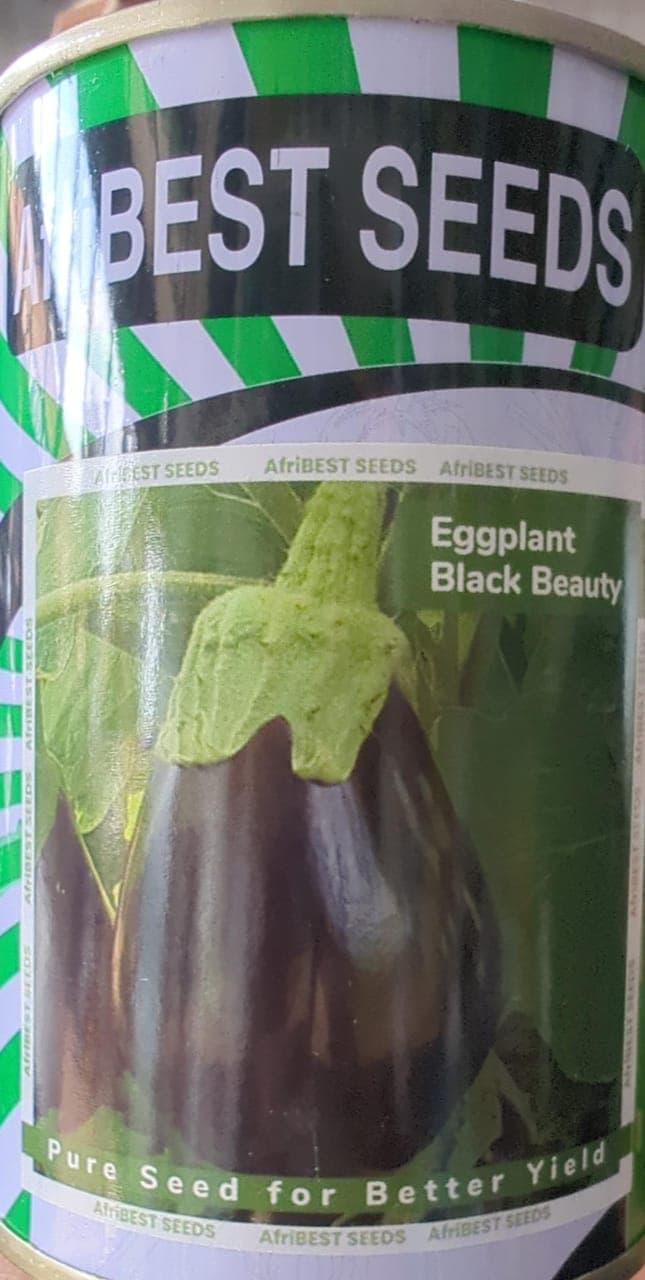 BLACK BEAUTY(AfriBEST SEEDS)- 100gm