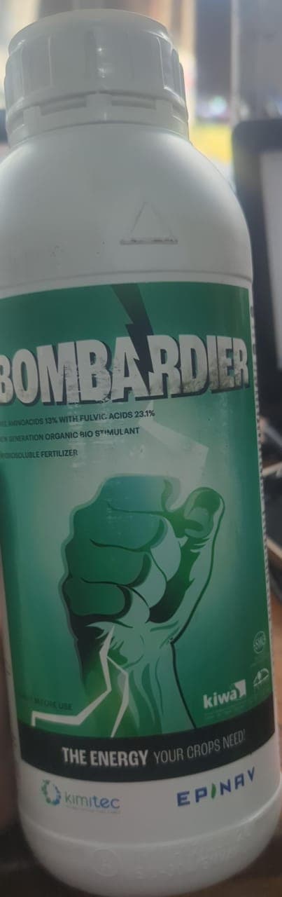 BOMBARDIER- 1Litre