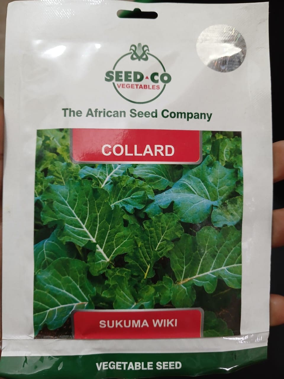 SUKUMA WIKI/COLLARD(SEED CO)- 25gm