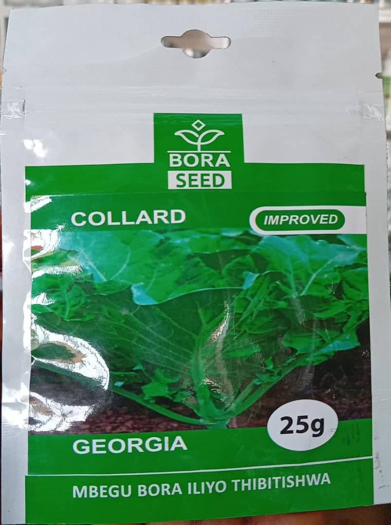 COLLAD/SUKUMA(BORA SEED)- 25gm