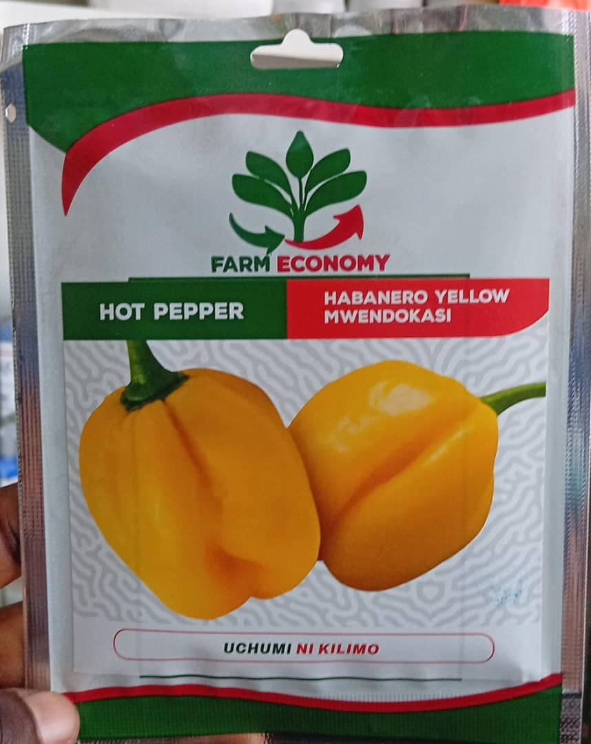 MWENDOKASI/HABANERO(FEC)- 10gm