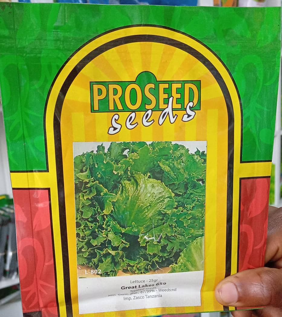 LETTUCE(PRO SEED)- 25gm
