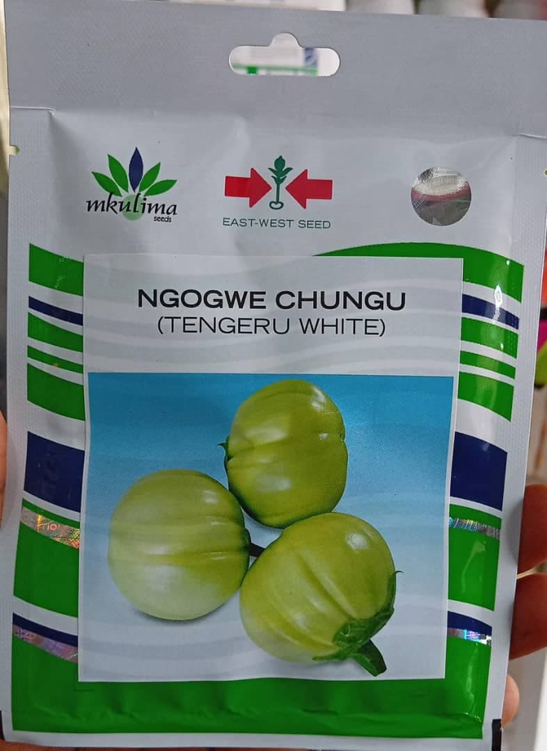 NGOGWE CHUNGU(EWS)-10gm