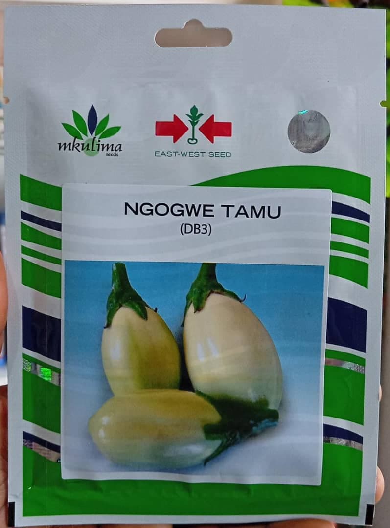 NGOGWE TAMU(EWS)- 10gm