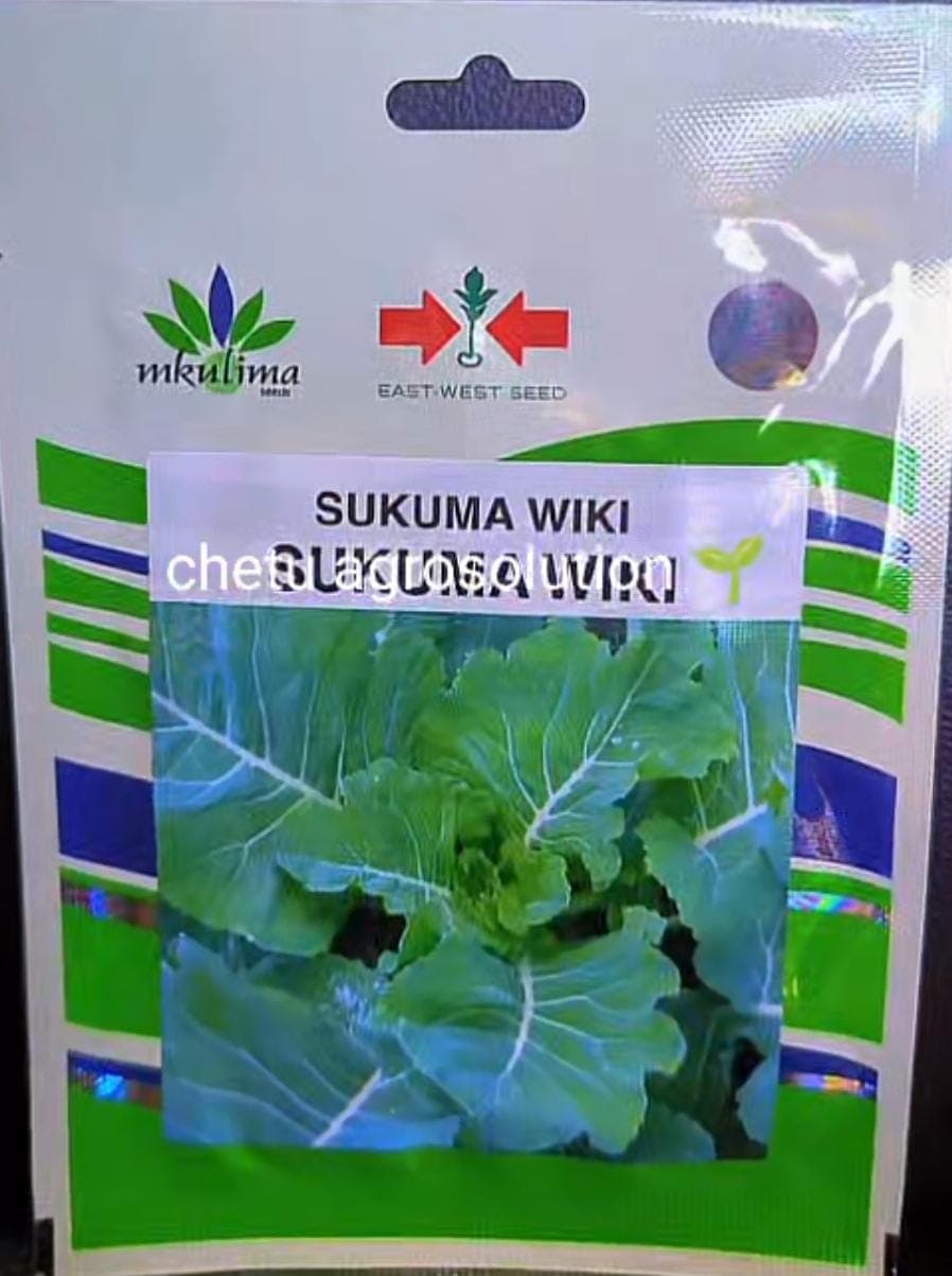 SUKUMAWIKI/KALE(EWS)- 10gm