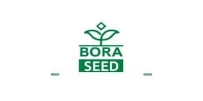 Bora Seed