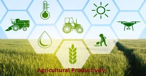 Good Agricultural Practices: The Foundation for Increasing Production and Income