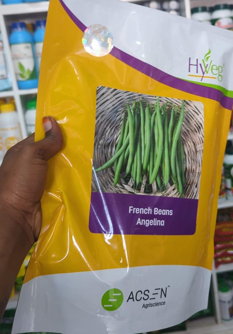ANGELINA FRENCH BEANS- 250gm