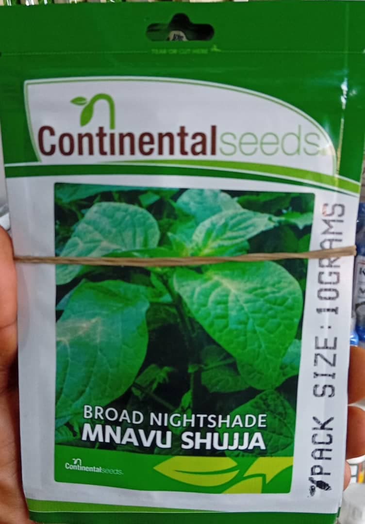 MNAVU SHUJJA/MPANA(CONTINENTAL)- 10gm