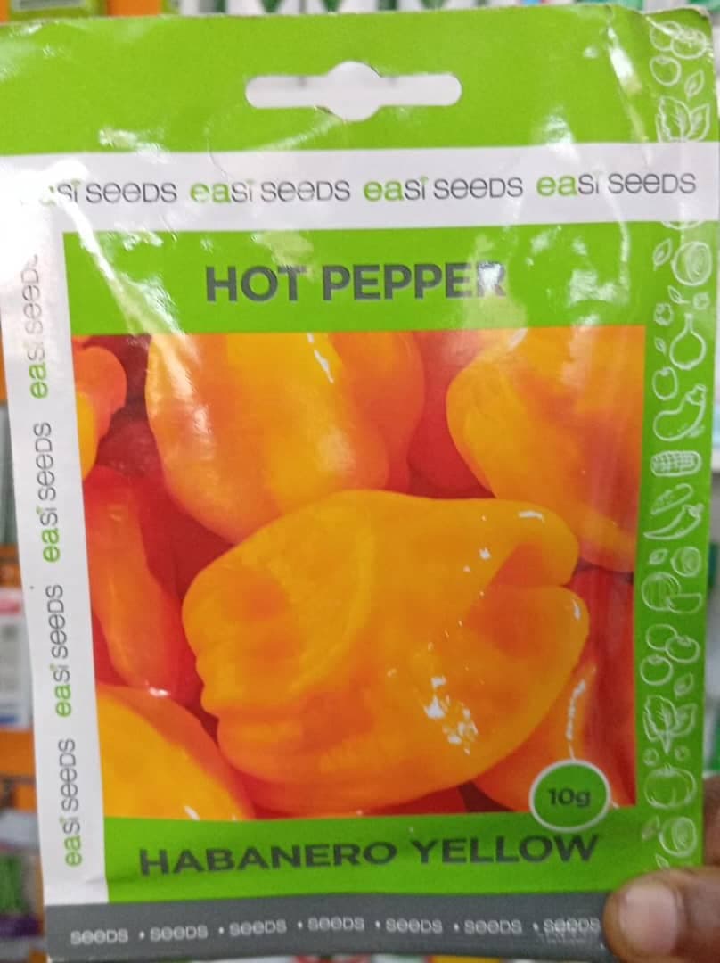 HABANERO YELLOW(EA SEED)- 10gm