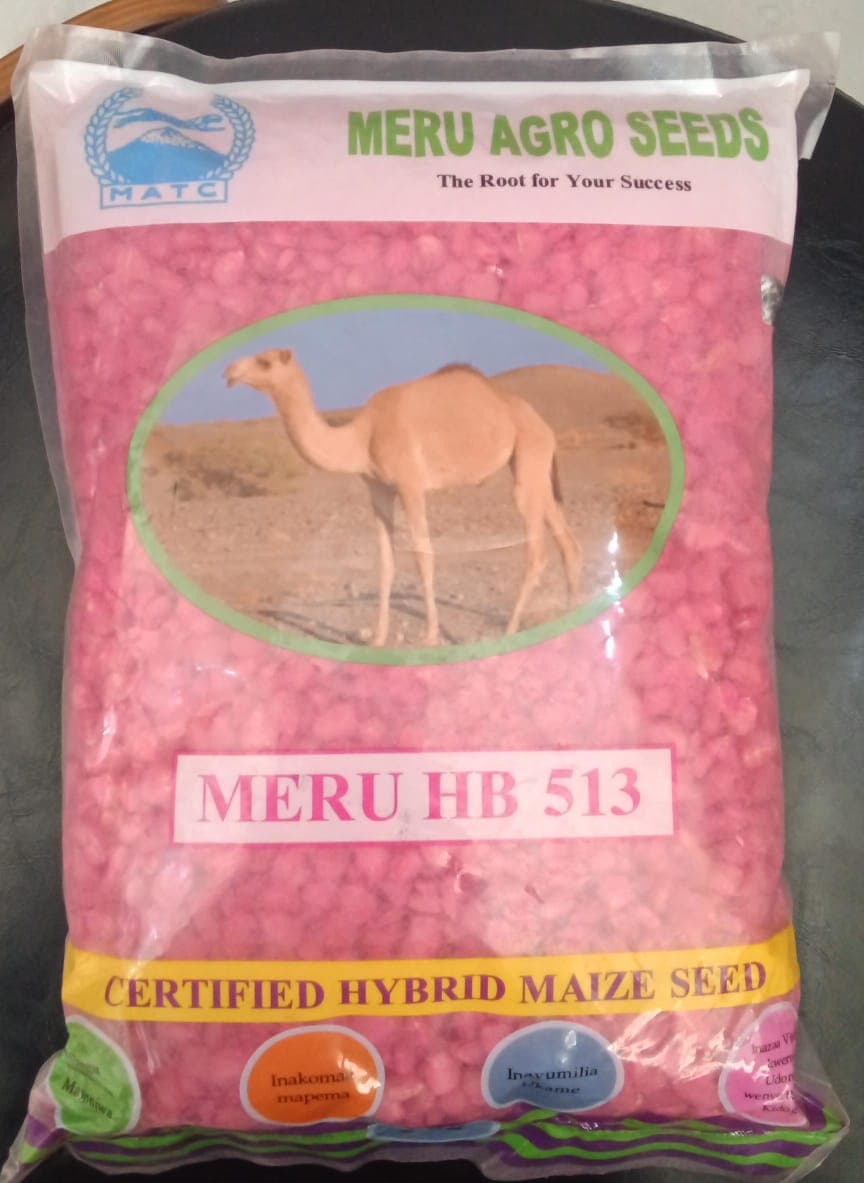 MERU HB(513)- 2kg